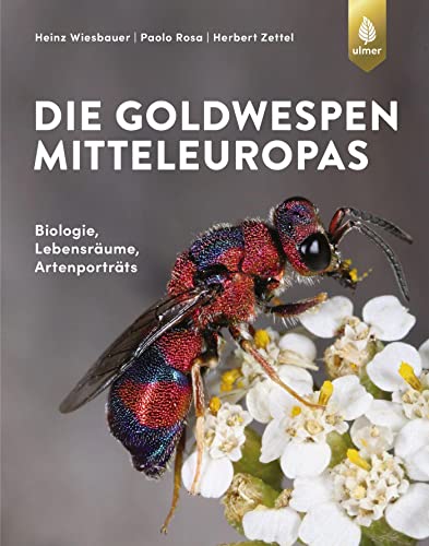 Die Goldwespen Mitteleuropas: Biologie, Lebensräume, Artenportraits von Ulmer Eugen Verlag