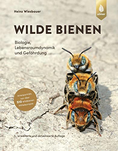 Wilde Bienen: Biologie, Lebensraumdynamik und Gefährdung. Artenporträts von über 510 Wildbienen Mitteleuropas von Verlag Eugen Ulmer