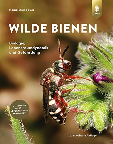 Wilde Bienen: Biologie, Lebensraumdynamik und Gefährdung. Artenporträts von über 470 Wildbienen Mitteleuropas