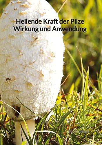 Heilende Kraft der Pilze Wirkung und Anwendung