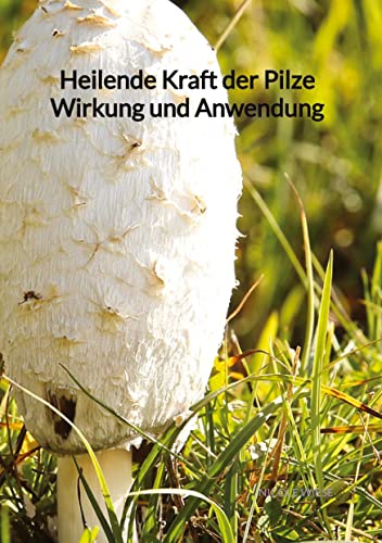 Heilende Kraft der Pilze Wirkung und Anwendung von tredition