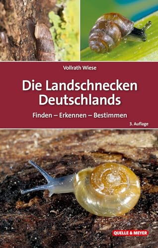 Die Landschnecken Deutschlands: Finden - Erkennen - Bestimmen (Quelle & Meyer Bestimmungsbücher)