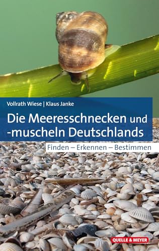Die Meeresschnecken und -muscheln Deutschlands: Finden – Erkennen – Bestimmen (Quelle & Meyer Bestimmungsbücher)