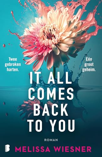 It all comes back to you: Twee gebroken harten. Eén groot geheim. von Boekerij