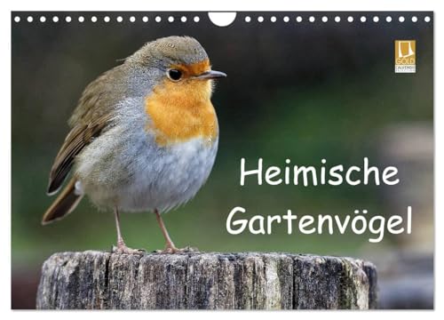 Heimische Gartenvögel (Wandkalender 2024 DIN A4 quer), CALVENDO Monatskalender: Wunderschöne Aufnahmen, die die Pracht, Vielfalt und Einzigartigkeit ... ¿ eine Freude für jeden Vogelliebhaber. von CALVENDO