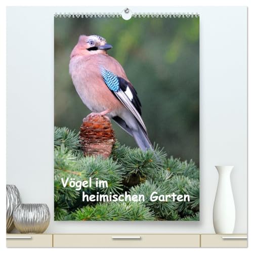 Vögel im heimischen Garten (hochwertiger Premium Wandkalender 2025 DIN A2 hoch), Kunstdruck in Hochglanz von CALVENDO