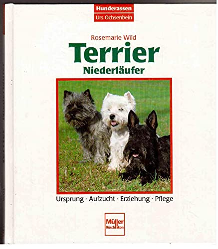 Terrier, Niederläufer