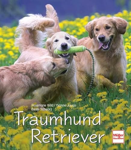 Traumhund Retriever