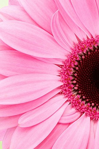 Gerbera Notebook: 150 lined pages, softcover, 6 x 9