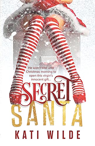 Secret Santa (Hot Holidays) von CREATESPACE