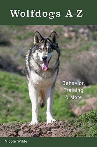 Wolfdogs A-Z: Behavior, Training & More