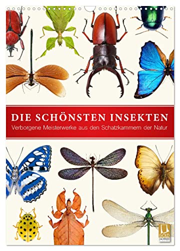 Die schönsten Insekten (Wandkalender 2025 DIN A3 hoch), CALVENDO Monatskalender von CALVENDO