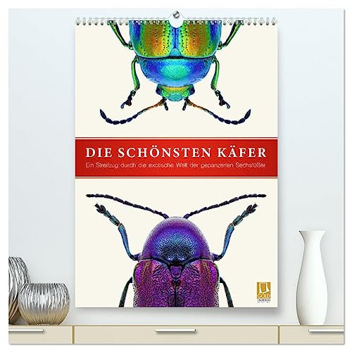 Die schönsten Käfer (hochwertiger Premium Wandkalender 2025 DIN A2 hoch), Kunstdruck in Hochglanz