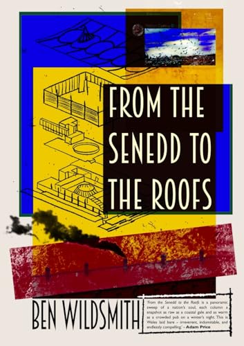 From the Senedd to the Roofs From the Senedd to the Roofs von Cambria Books
