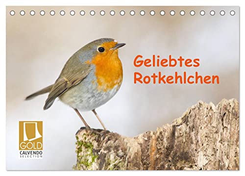 Geliebtes Rotkehlchen (Tischkalender 2024 DIN A5 quer), CALVENDO Monatskalender von CALVENDO