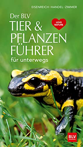 Der BLV Tier & Pflanzenführer: für unterwegs (BLV Naturführer) von Gräfe und Unzer