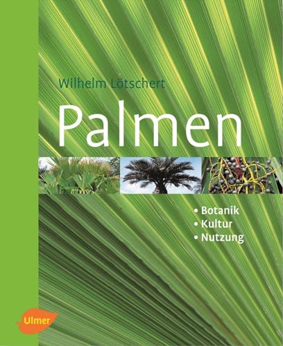 Palmen. Botanik, Kultur, Nutzung von Ulmer Eugen Verlag