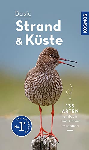 Basic Strand und Küste: einfach und sicher erkennen