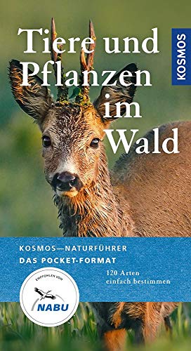 Tiere und Pflanzen im Wald: 120 Arten einfach bestimmen