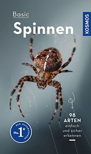 Basic Spinnen: einfach und sicher erkennen