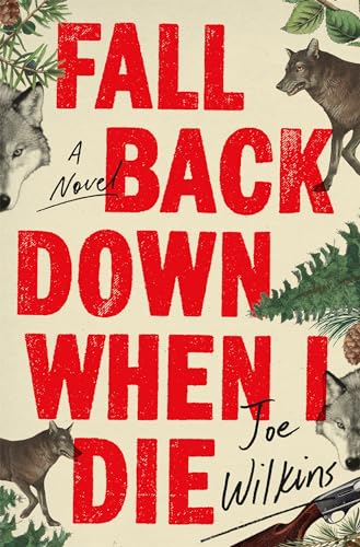 Fall Back Down When I Die von Back Bay Books
