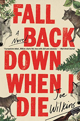 Fall Back Down When I Die von Back Bay Books