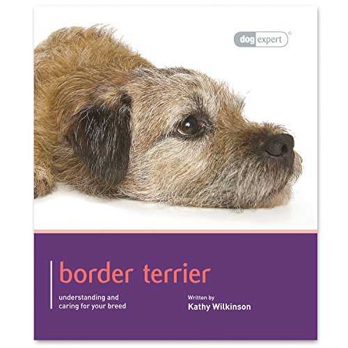 Border Terrier - Dog Expert Border Terrier - Dog Expert