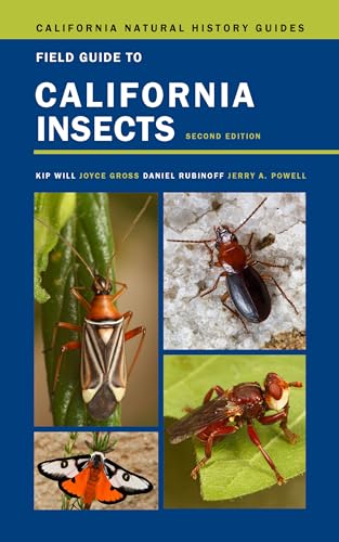 Field Guide to California Insects: Second Edition Volume 111 (California Natural History Guides, 111, Band 111) von University of California Press