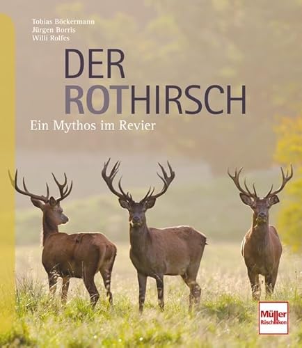 Der Rothirsch: Ein Mythos im Revier