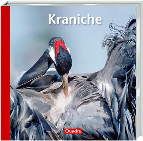 Kraniche: Die Vögel des Glücks sind Sinnbild des Vogelzugs von Tecklenborg Verlag GmbH