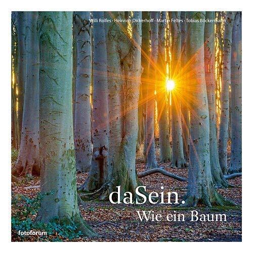 daSein. Wie ein Baum: Der Baum als Sinnbild des Lebens von Fotoforum-Verlag E. K.