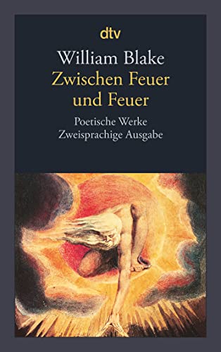 Zwischen Feuer und Feuer: Poetische Werke, Zweisprachige Ausgabe von dtv Verlagsgesellschaft