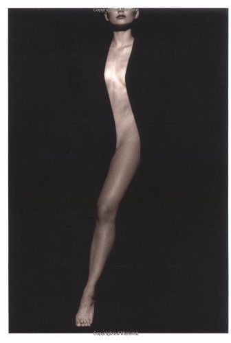 The Body: Photographs of the Human Form von Chronicle Books