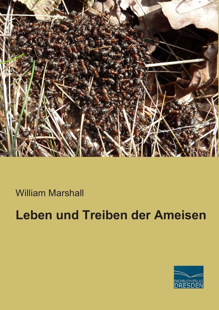 Leben und Treiben der Ameisen von Fachbuchverlag-Dresden