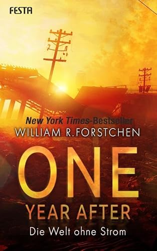 One Year After - Die Welt ohne Strom von Festa Verlag