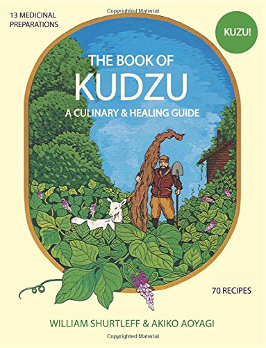 The Book of Kudzu von CreateSpace Independent Publishing Platform