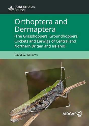 Orthoptera and Dermaptera: (The Grasshoppers, Groundhoppers, Crickets and Earwigs of Central and Northern Britain and Ireland)