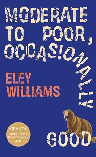 Moderate to Poor, Occasionally Good: The dazzling new short story collection from the Granta Best Young British Novelist