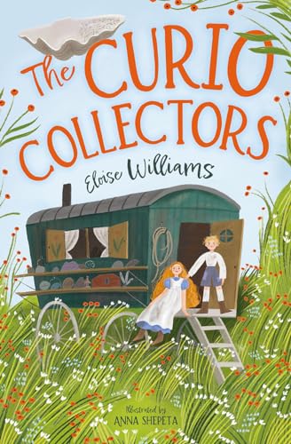 The Curio Collectors: The discovery of a long-lost carving sparks new friendships and unmasks a villainous plot in this captivating adventure from former Children’s Laureate Wales Eloise Williams