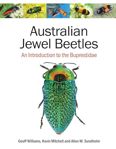 Australian Jewel Beetles: An Introduction to the Buprestidae von CSIRO Publishing