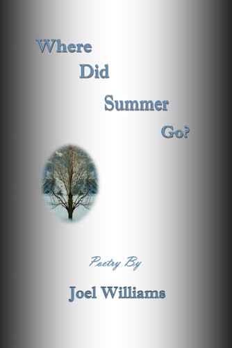 Where Did Summer Go? von Vabella Publishing