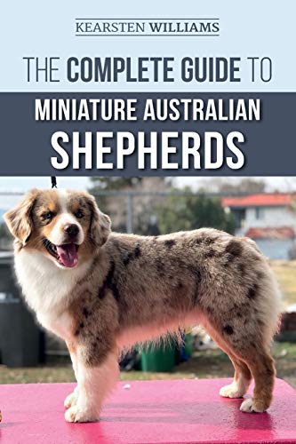 The Complete Guide to Miniature Australian Shepherds: Finding, Caring For, Training, Feeding, Socializing, and Loving Your New Mini Aussie Puppy von Independently Published