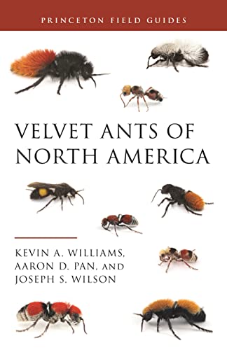 Velvet Ants of North America (Princeton Field Guides) von Princeton University Press