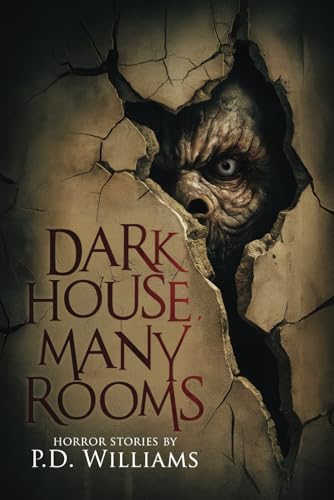 Dark House, Many Rooms: 16 Stories of Horror and the Supernatural (Never Sleep Again) von Velox Books