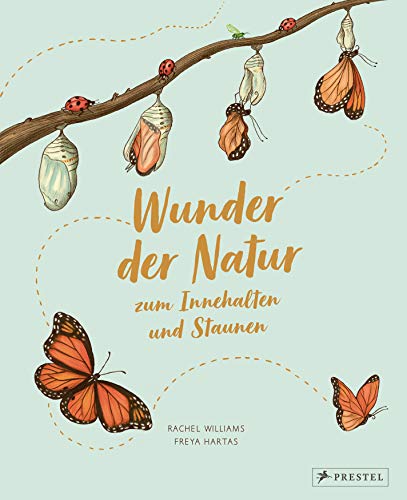 Wunder der Natur zum Innehalten und Staunen: 50 kleine Geschichten über alltägliche Naturereignisse von Prestel