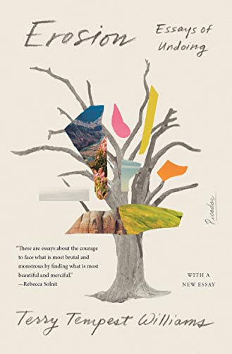 Erosion: Essays of Undoing von Picador