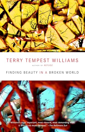 Finding Beauty in a Broken World von Vintage
