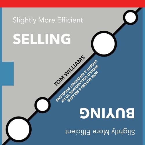 Slightly More Efficient Selling | Slightly More Efficient Buying: How buyers & sellers should collaborate to fix urgent and important problems von Savvy Reckless