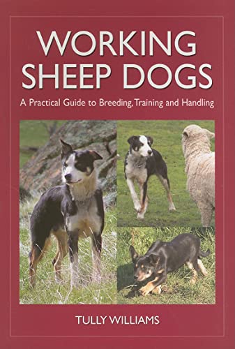 Working Sheep Dogs: A Practical Guide to Breeding, Training and Handling (Landlinks Press)