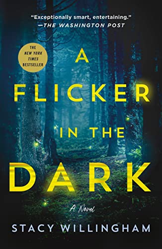 Flicker in the Dark von Unknown